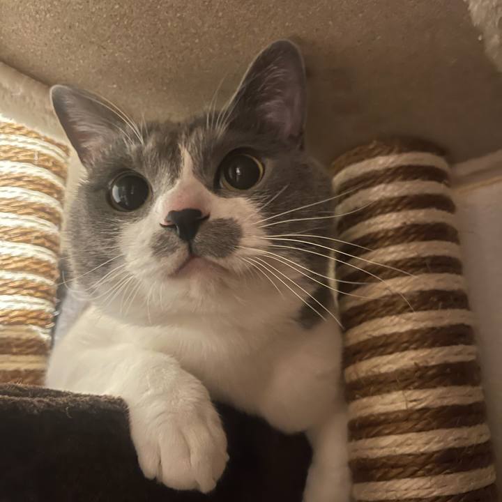 391c329d 4081 4949 b05f 544315acd8f3 1681749443241