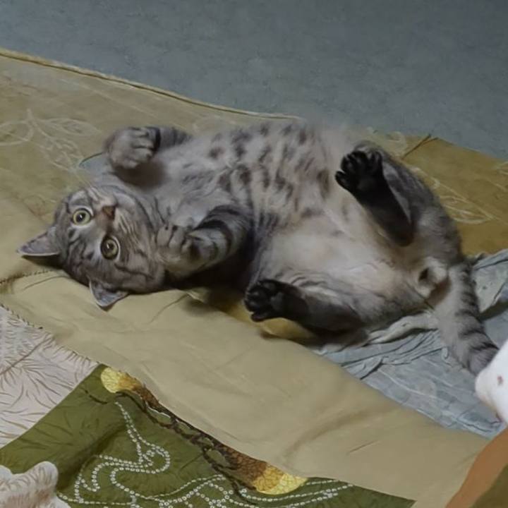 391c3361 8696 4e7f 9312 2d3c14268576 1702893800569