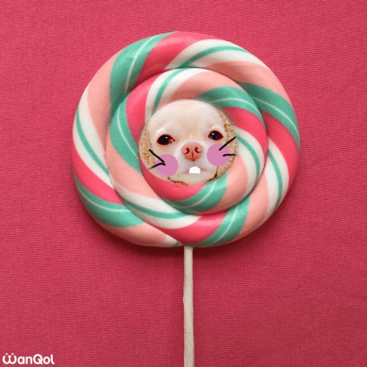 391c4233 bb95 4ff5 8da9 ccf09b0173e8 1639726401869