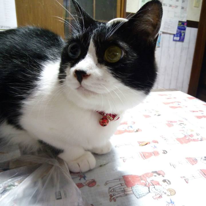 391c5875 0f58 4b15 926f 77466e7f7a2e 1530651262208