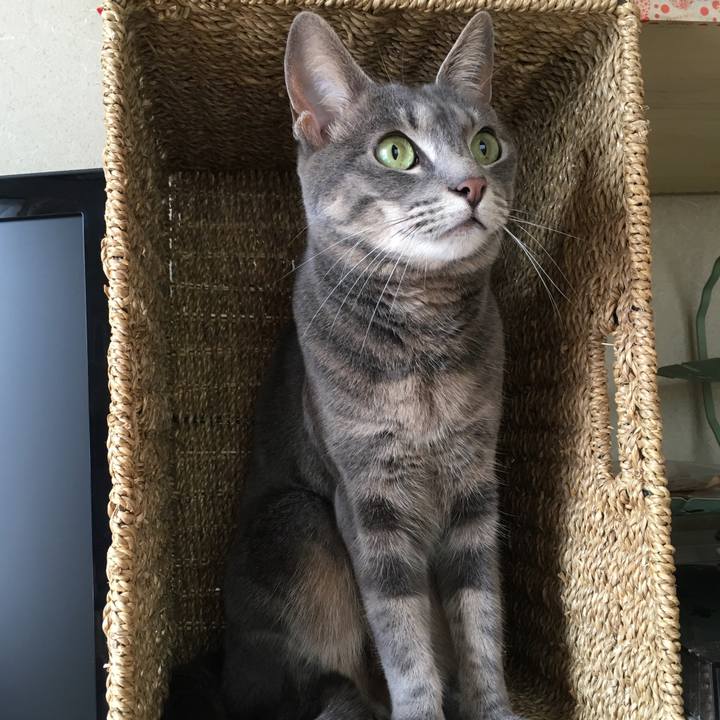 391cb6ed c81e 4f98 b9b3 f60c915eeaa7 1590219948869