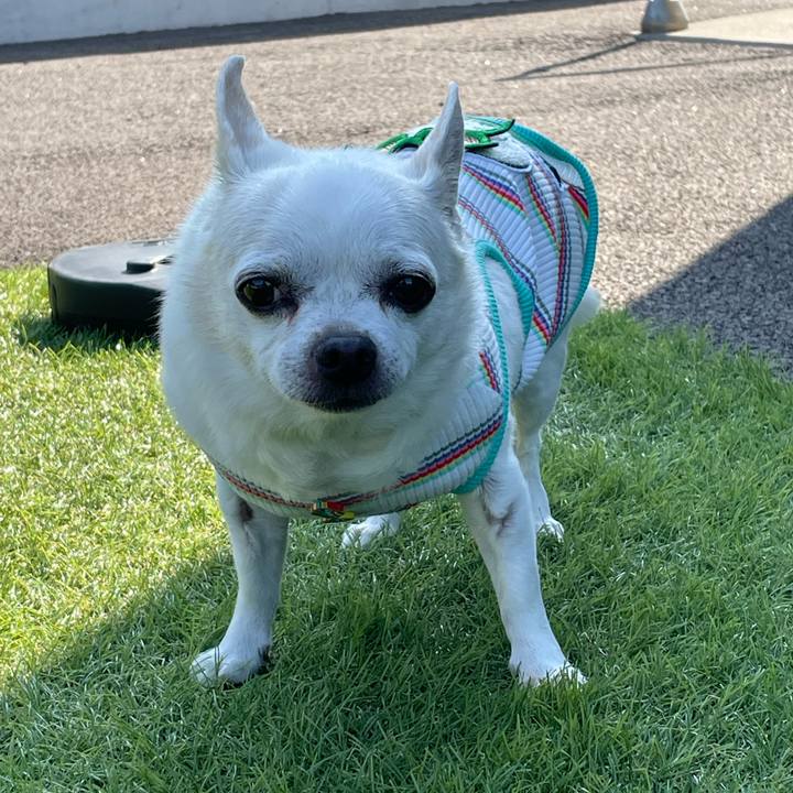 391ce539 9a3d 4d7e 8cf7 af51151916a1 1686710593378