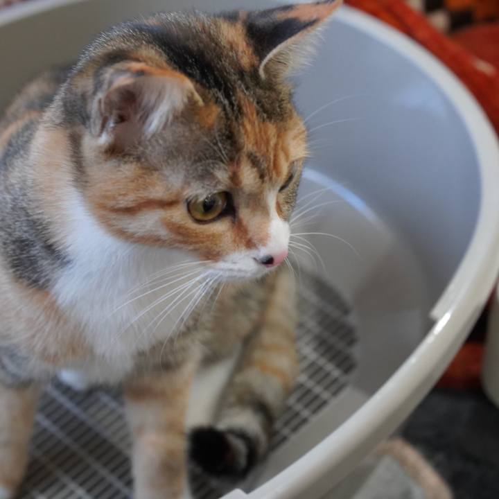 391ced95 5c14 41b6 8a6f b90206b03ff8 1580560146936