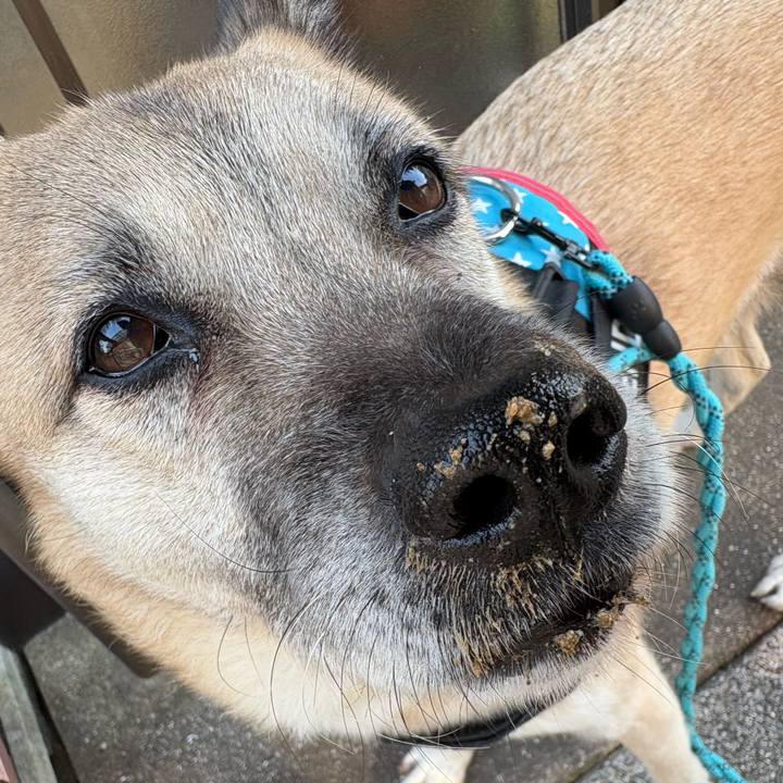 391cfcd8 a4b4 400c 94c1 306f839c252f 1737796909674