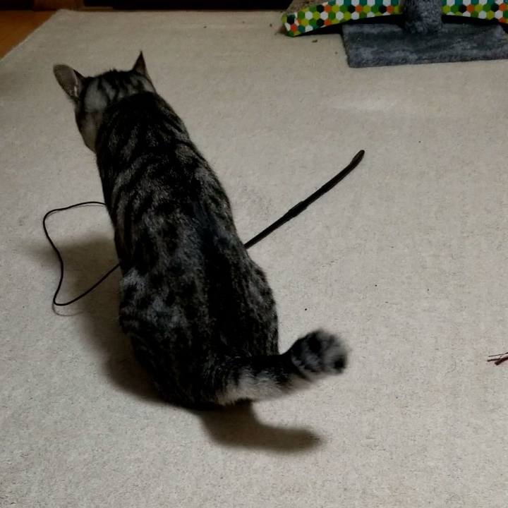 391d00bf 6ec0 443a bff5 653877cc547f 1676907005260