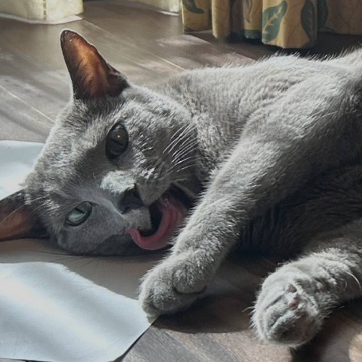 391d4506 3b3e 48d9 a2d5 e4d932230c58 1735873801288