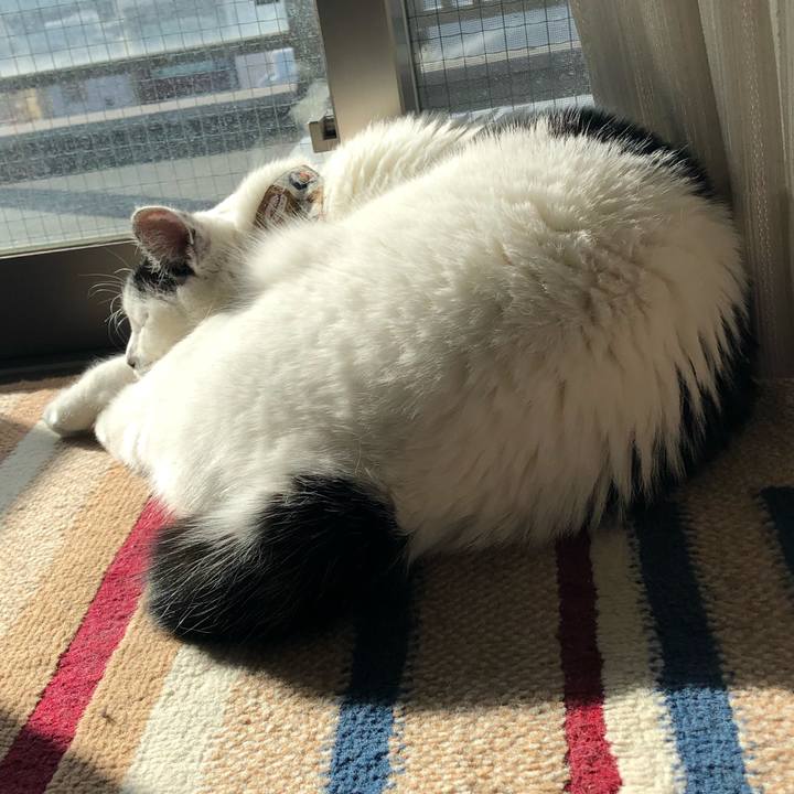 391d6439 eb4e 4b00 af92 d8ac8b816876 1546230005476