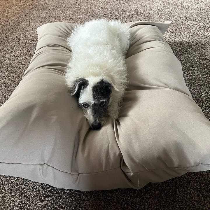 391d6c94 57d8 47e1 b1d2 12a51962791e 1708123587919