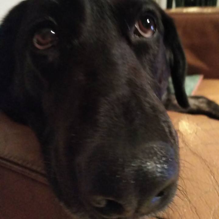 391d7659 5be6 4bae b48b 18cef14e5967 1586348132278