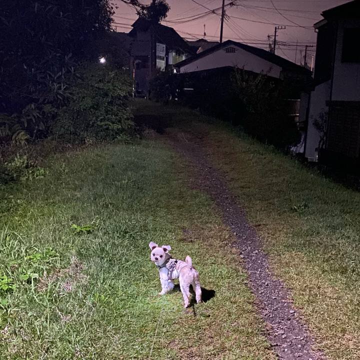 391d9518 69d2 4534 b889 17806af47aae 1730192206831