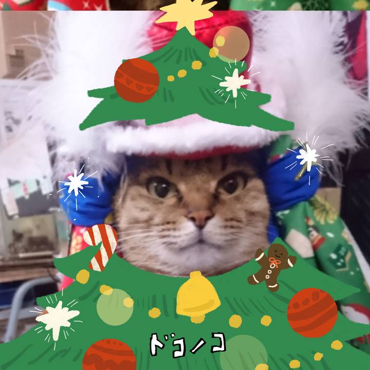 391da6d8 ce6d 4224 921e 2f8a75320ee3 1763851654164