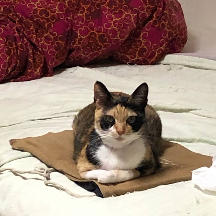 391e481f 57ac 4473 be82 a8e27a7b3d99 1549115746601