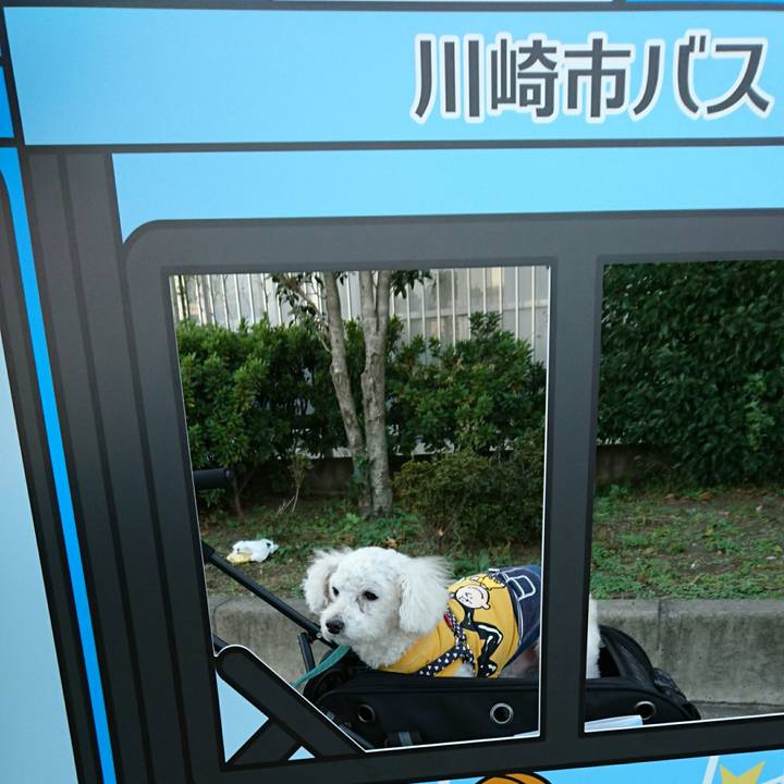 391e4e4c 38f2 4919 90ec 336d26f061fa 1542380409576