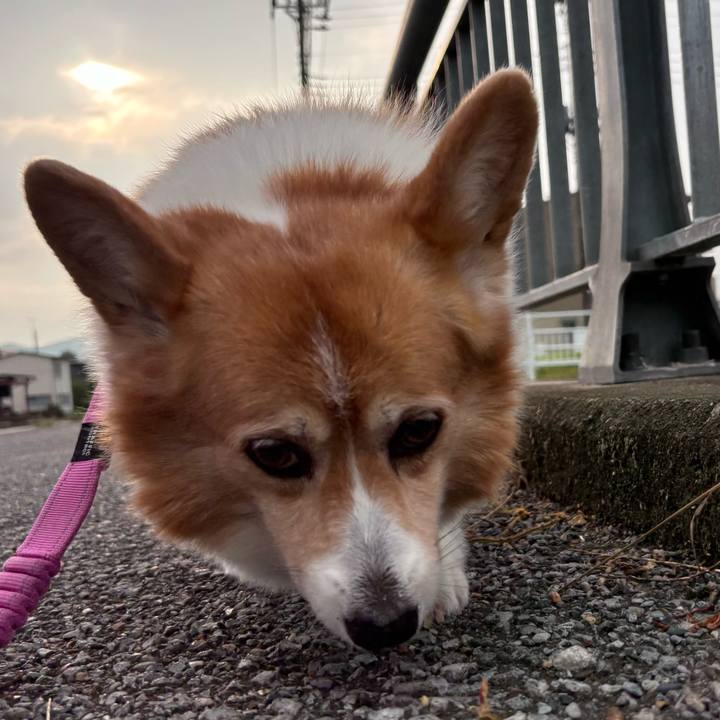 391e69ee b030 4cac bf3a 4609c6b41dd4 1754518621811