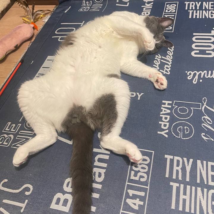 391e8d2f 73b5 4e65 8306 a7bb266534d6 1694536230229