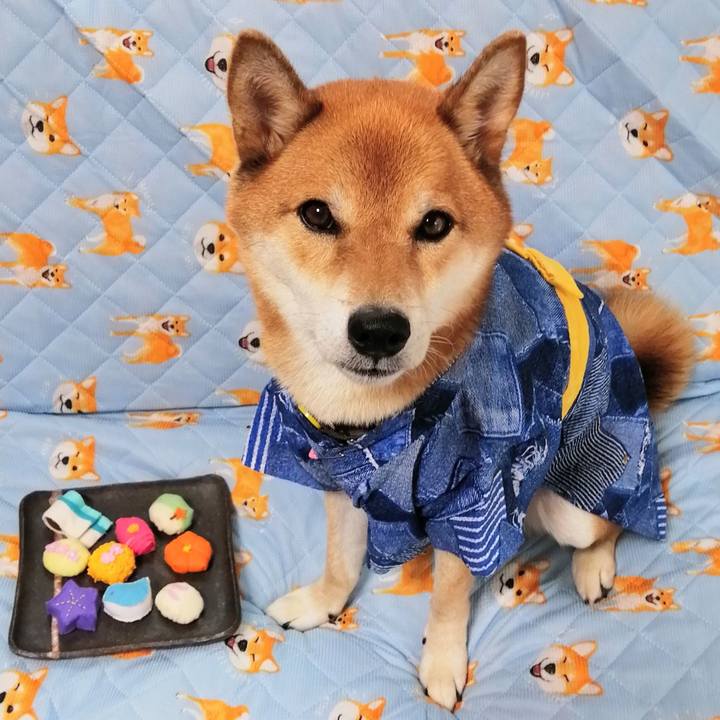 391ebd90 73ac 4aa3 b437 76f10b10f35f 1598515742695