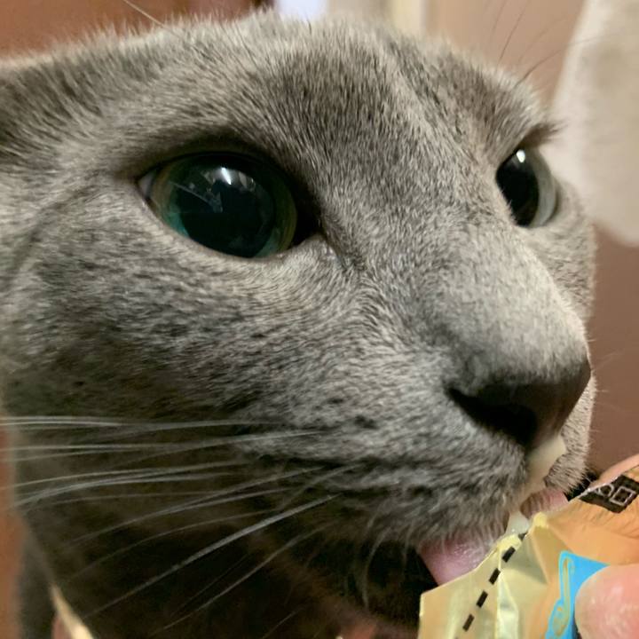 391eea47 97f7 442c 8169 ed0660562bb8 1581764266940