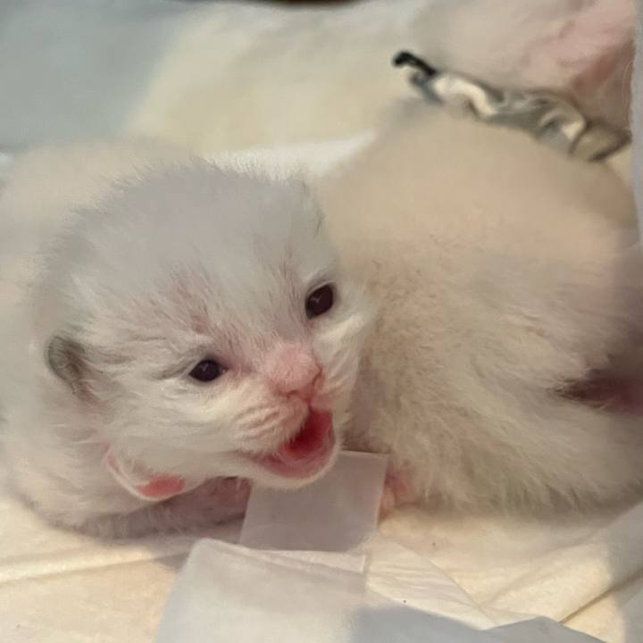 391f29e9 701f 46e7 b872 515547ff7caa 1676936734197