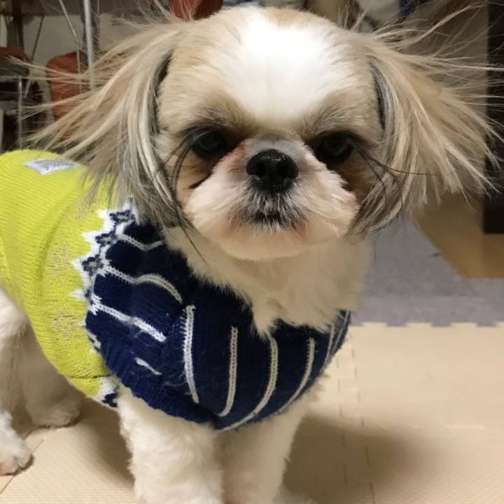 391f4762 28e4 495c bac7 4aaec33787e8 1581001472480