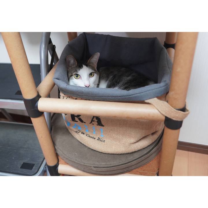 391f8599 c16b 4205 8ec0 f19937315b34 1602686118694