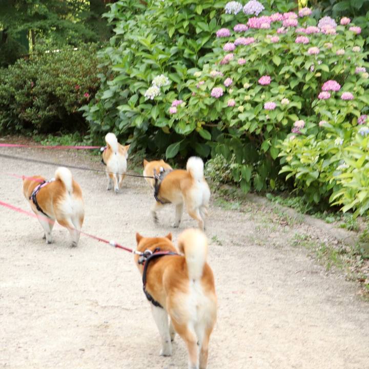 391f9391 ea84 4661 99c1 7067210023c2 1591889377704