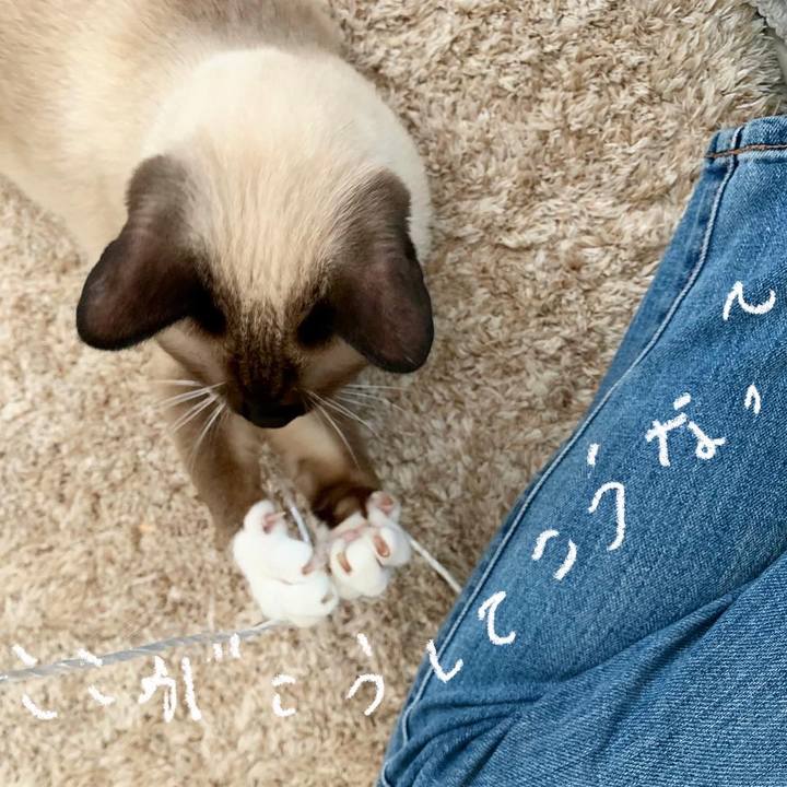 391fbf6c f76e 4bb4 94be 322a60ede945 1695940179873