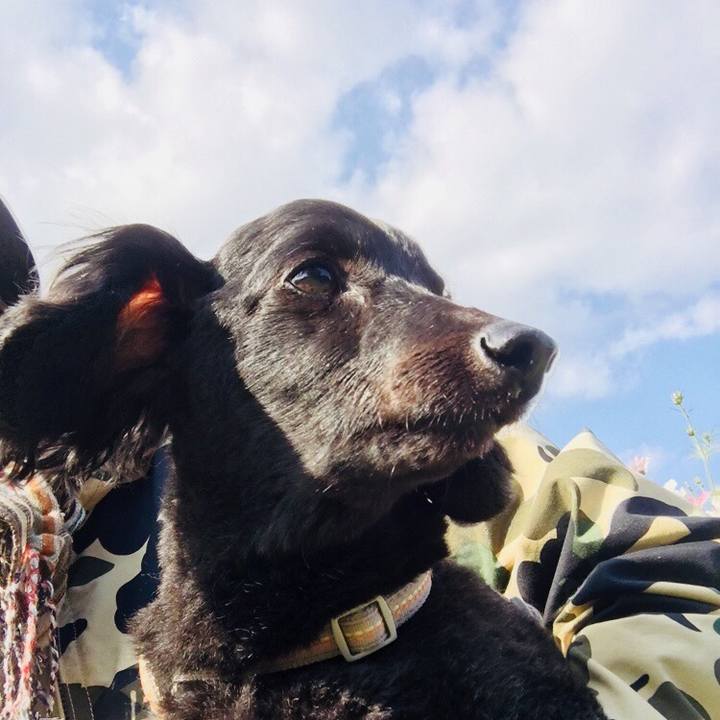 391fc422 636b 4fb7 98da 5892264cb8d7 1510219041100