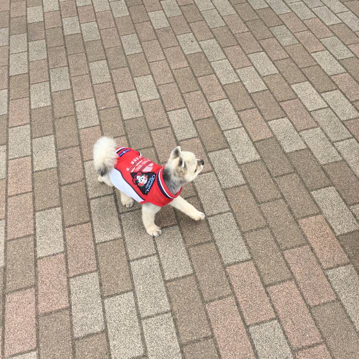 391fd861 4283 4afc b018 c94deac7b42a 1557113992546