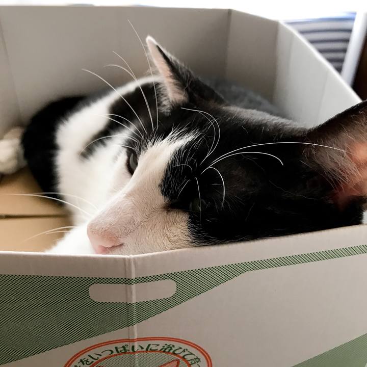 391fe9be 96f7 442e 8fe8 b09573fc0bf1 1532183444510