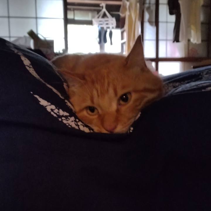 391febe6 919b 4c87 9eb1 c37a0b8596a2 1689721347905