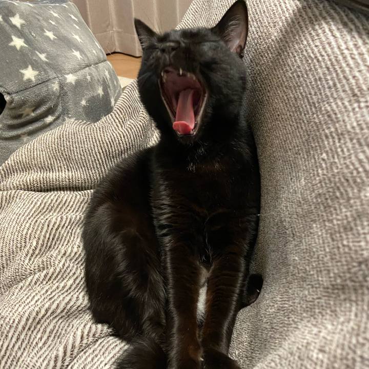 391ff6c2 46e3 4433 b7a6 61da62742184 1643714813206