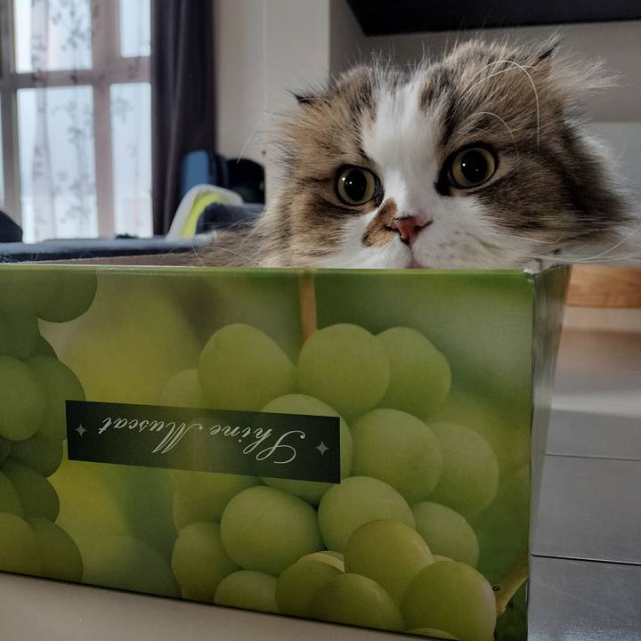 392013ad c0bf 4000 b11d 7e506375d98d 1761692835609