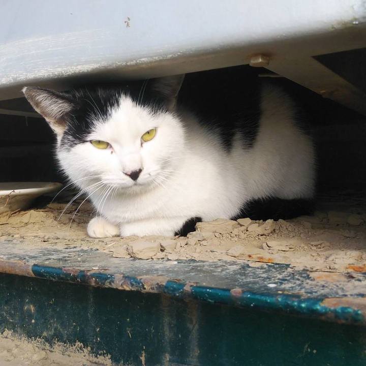 39201f7e fb12 4d52 9c3d f5ca52e3e086 1609813818495