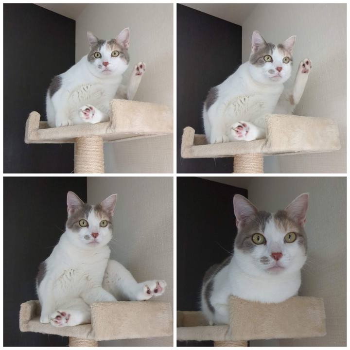 39204694 f124 4e24 a266 0fedcf23da9a 1682146173981