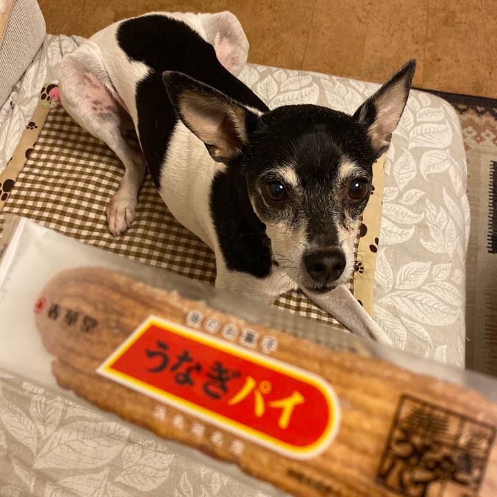 39205204 349d 4db0 b826 2aaf35fe804b 1574433122671