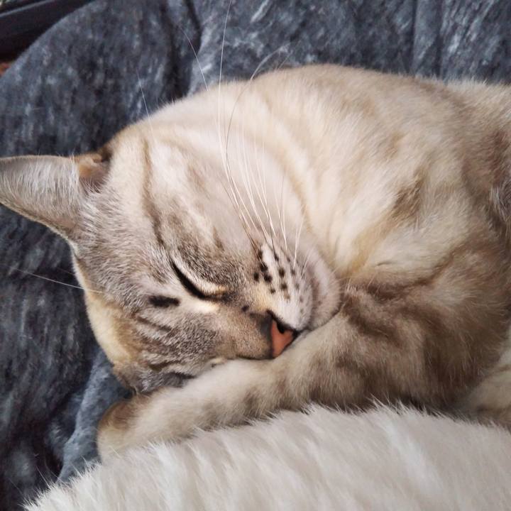 39205641 6d92 4f15 ab58 29bb29dd89e2 1550208601927