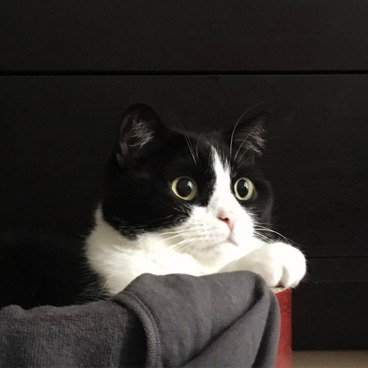 39207b21 c972 4e40 b921 ee033fc42279 1595454563939