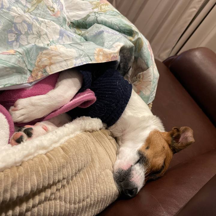 39208e66 3657 4387 8d4c fd2b879e78a2 1646743485077