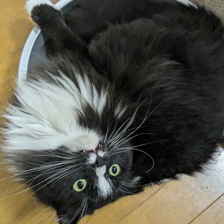 39209be0 5850 48be a63c f1309774c54c 1719920529516