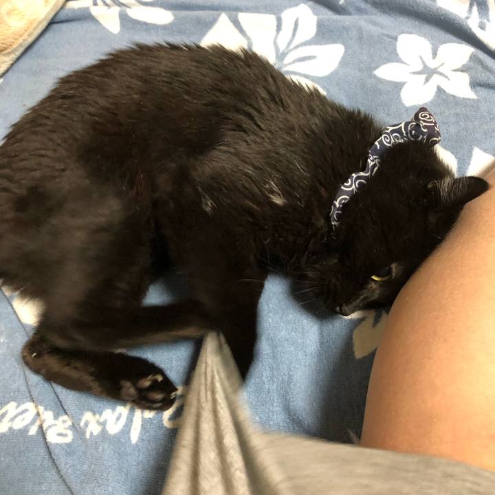 3920a3dd 316b 44f9 b3d9 72f7b9c0c877 1582324153334