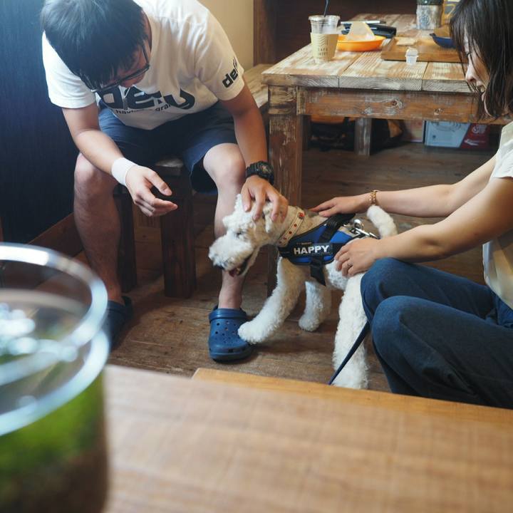 3920a5fd 687b 413d 968e 035d6ee697c4 1533280088570