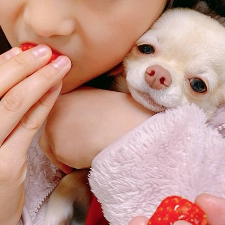 3920b753 fc6a 4ae4 a809 be2d62c8430d 1611550717803