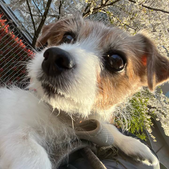 3920baa7 2f9c 47aa bc54 c1b2eaeda8a3 1762048289039