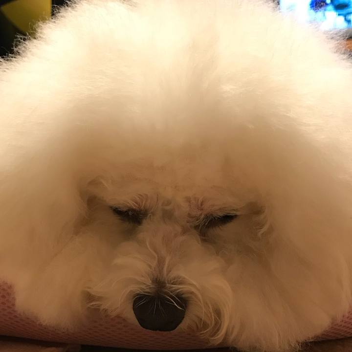 3920d191 1354 4e37 bcab 066428947ffa 1535888749596