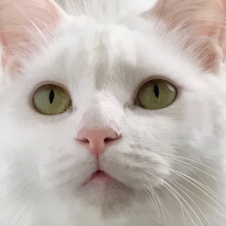 3920eea0 395f 4f96 9be7 002a1e83799e 1564890923962