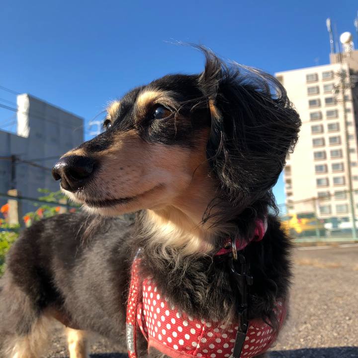 3920f15a 505f 4762 83c5 820650afe7ff 1574991443406