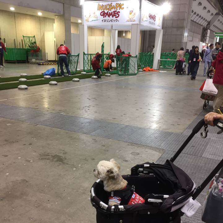 3921120a d916 4cd9 b146 54f7fe2849ea 1554029479933