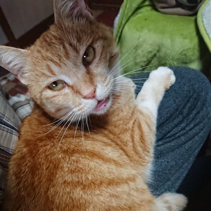 39211e13 1b10 47ff ab09 d8be2c5a4cde 1587627198171