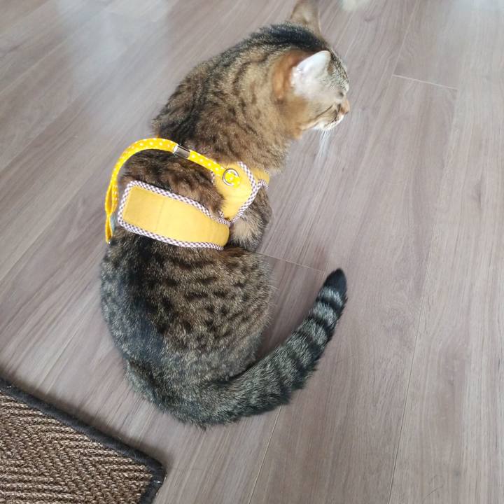 39214141 18e9 4d15 9559 3e56d4a47b85 1583538193271