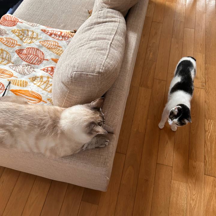 392142b8 8b3d 4087 8af3 6503f71e6509 1747789775589